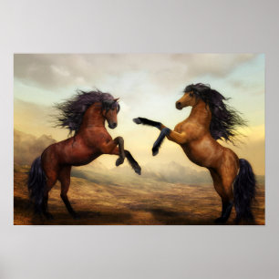 Wild Horses Poster