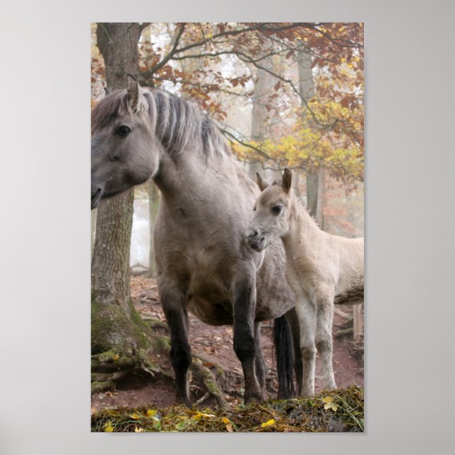 Wild Horses Poster (Front)