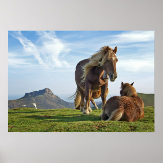 Wild Horses Poster