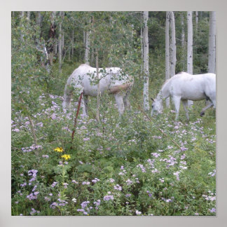 Wild Horses Poster