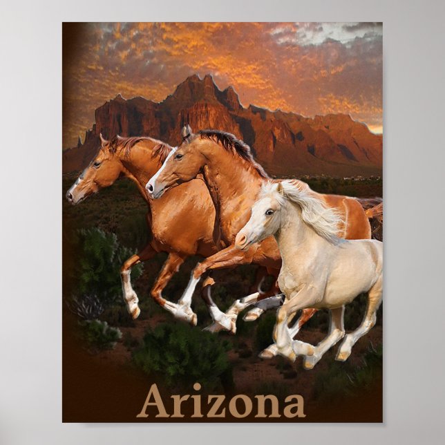 Wild Horses Poster (Front)