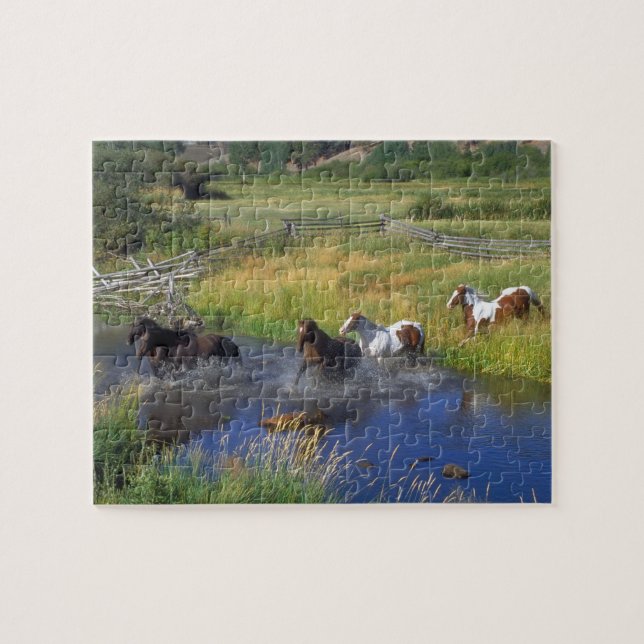 Wild Horses Puzzle (Horizontal)
