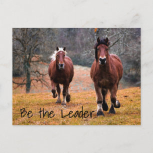 Wild Horses Racing in Woods Postcard