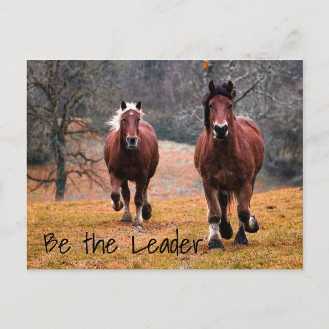 Wild Horses Racing in Woods Postcard (Front)