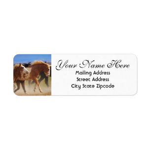 Wild Horses Return Address