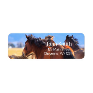 Wild Horses Return Address