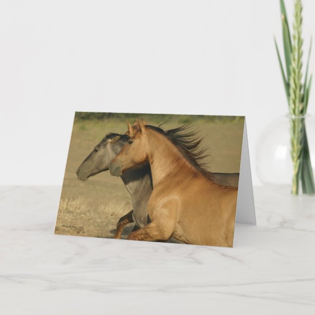 Wild Horses Returning to Freedom Card (Front)
