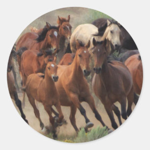 Wild Horses Roundup Classic Round Sticker