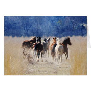 Wild horses running
