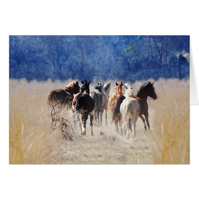 Wild horses running (Front Horizontal)