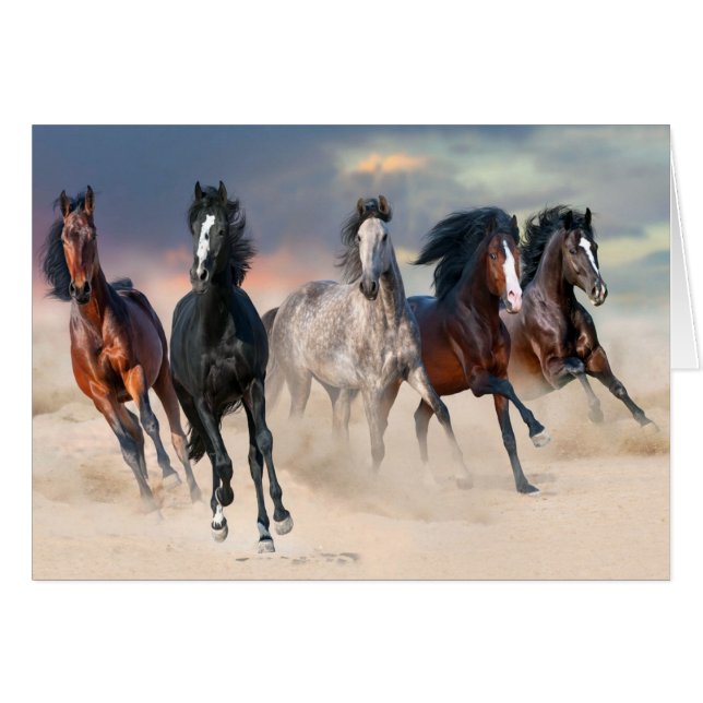 Wild Horses Running Free (Front Horizontal)