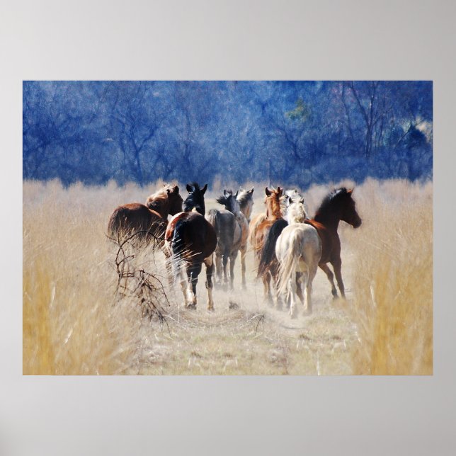 Wild horses running poster (Front)