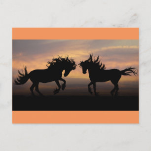 Wild Horses Silhouette Postcard