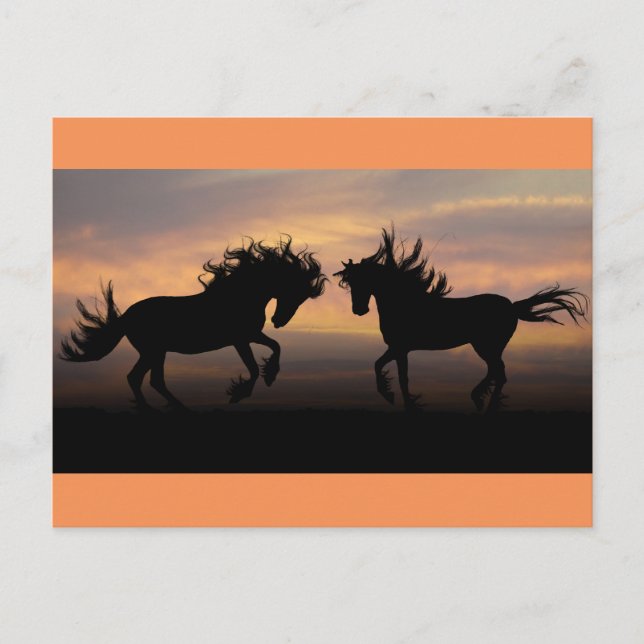 Wild Horses Silhouette Postcard (Front)
