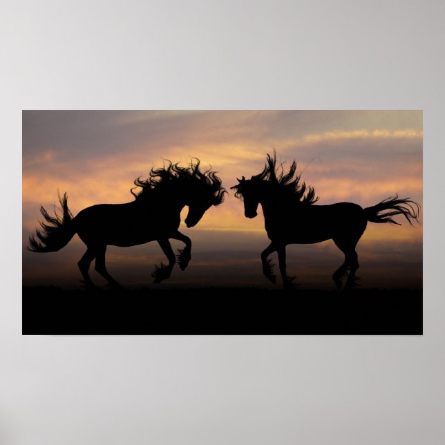 Wild Horses Silhouette Poster (Front)