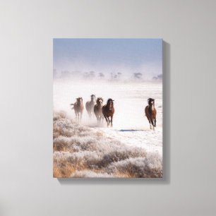Wild Horses Snowy Plain Winter Art Canvas Print