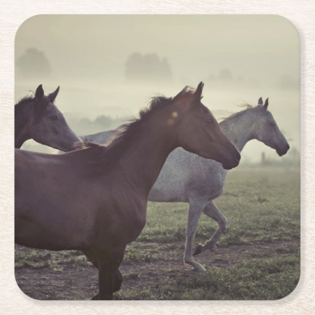 Wild horses square paper coaster (Front)