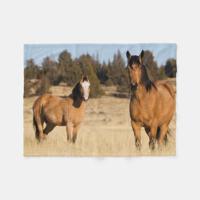 Wild Horses, Steens Mountains Fleece Blanket (Front (Horizontal))