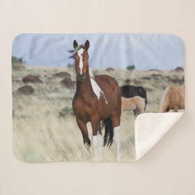 Wild Horses, Steens Mountains Sherpa Blanket (Front (Horizontal))