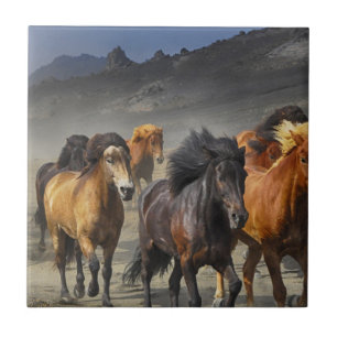 Wild Horses Tile