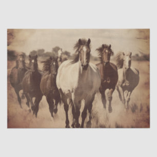 Wild Horses Tissue Paper