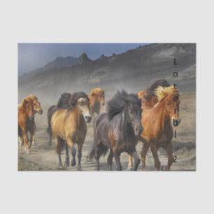 Wild Horses Tissue Paper