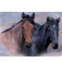 Wild Horses Tote Bag - 7.80 Wild Horses Tote Bag