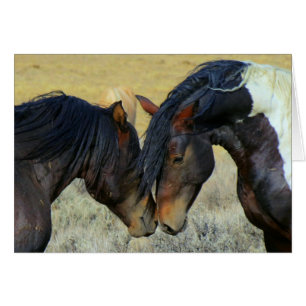 Wild Horses Touching Noses Blank Card