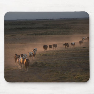 Wild Horses Walking Towards Desert Mouse Mat