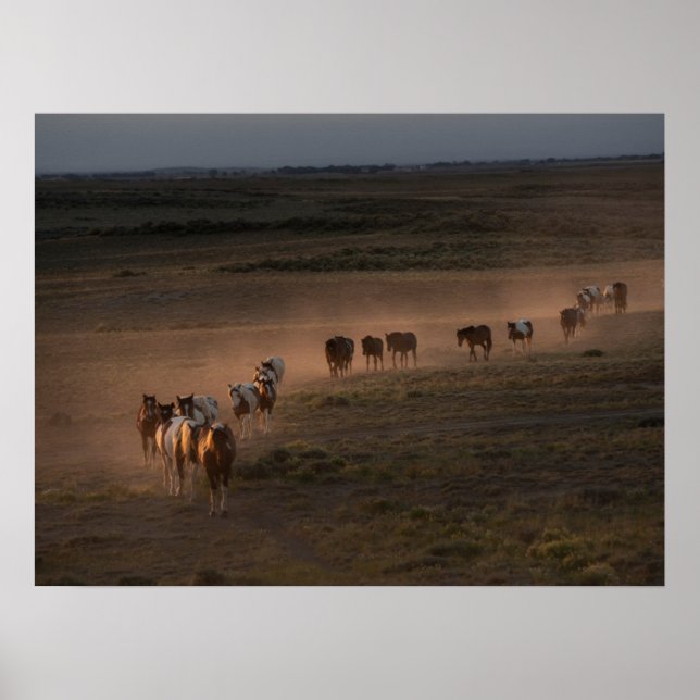 Wild Horses Walking Towards Desert Poster (Front)