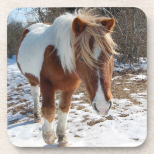 Wild Horses, Wildlife, Coasters, set of 6 Coaster