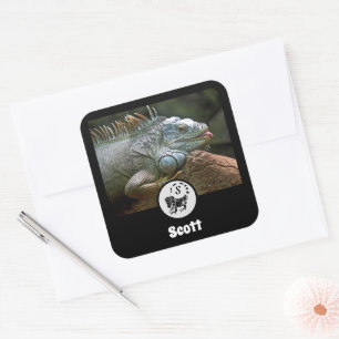 Wild Iguana Silhouette Name Tag Photo