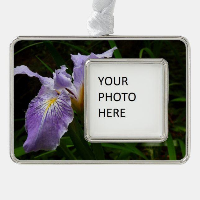 Wild Iris Flower Purple Floral Silver Plated Framed Ornament (Front)