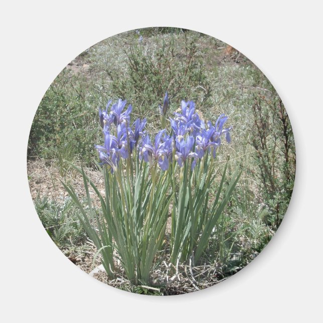 Wild Iris Magnet (Front)