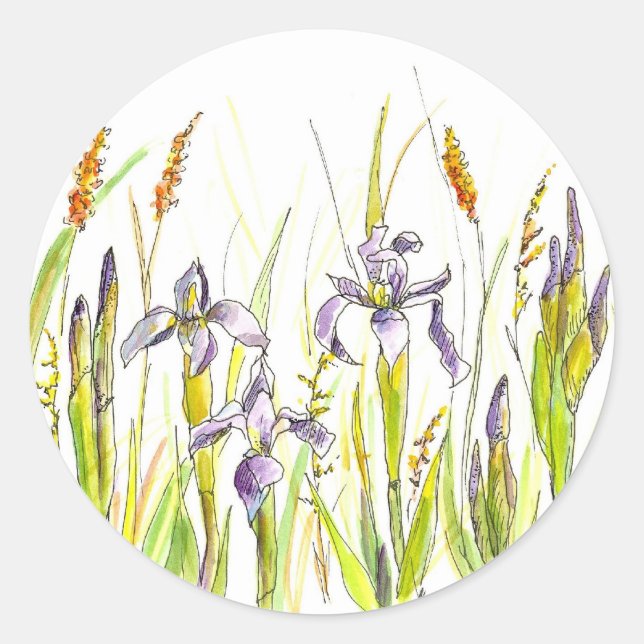 Wild Iris Purple Wildflower Watercolor Sketch Classic Round Sticker (Front)