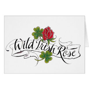 Wild Irish Rose