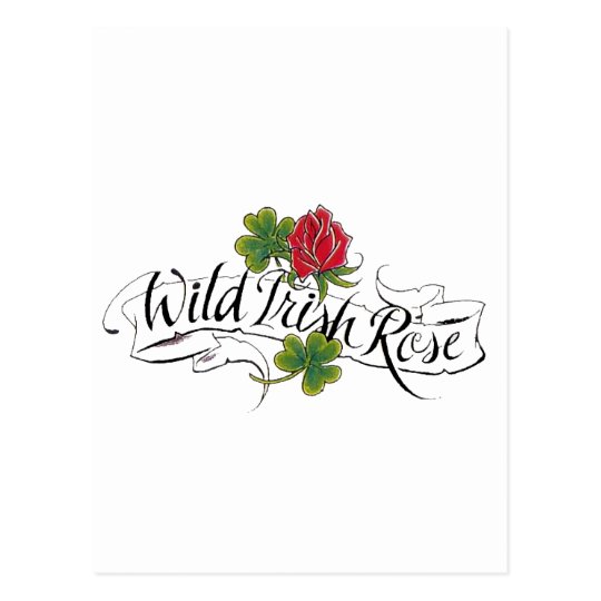 Wild Irish Rose Postcard
