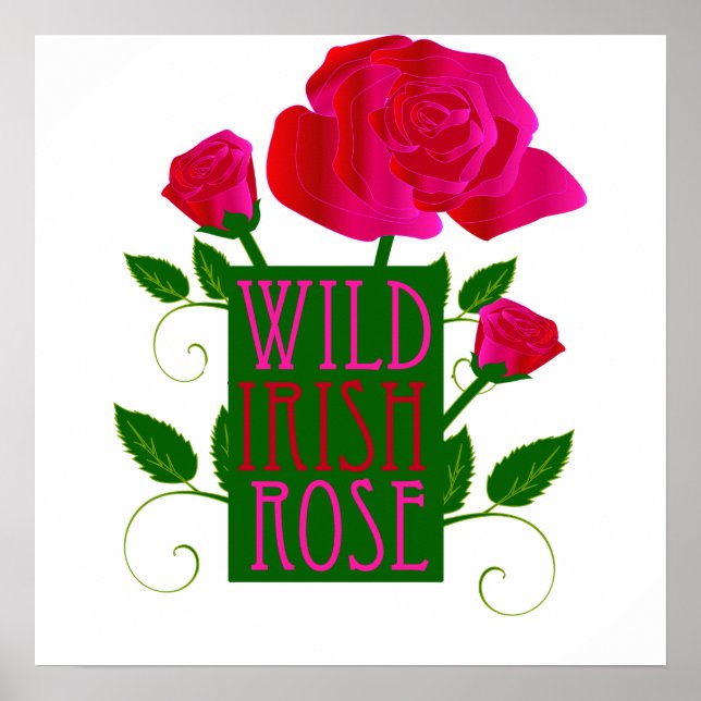 Wild Irish Rose Poster (Front)