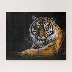Wild Jungle Animal Tiger  Jigsaw Puzzle
