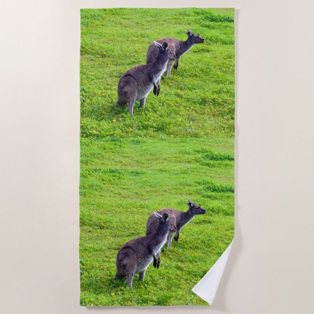 Wild Kangaroos On Green Grass, Beach Towel (Front)