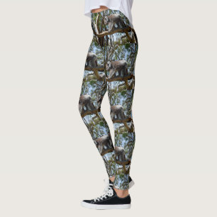 Wild Koala Bear Walking On A Tree Branch, Leggings