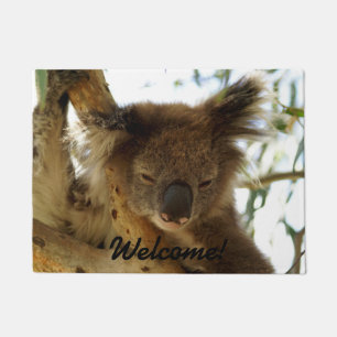 Wild koala sleeping on eucalyptus tree, Photo Doormat