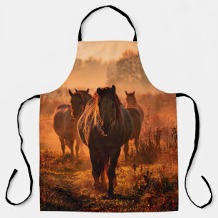 wild konik horses wich came running straight towar apron