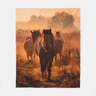 wild konik horses wich came running straight towar fleece blanket