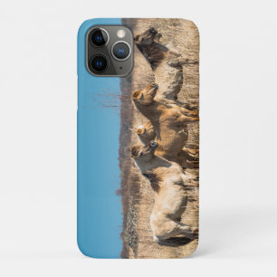 Wild Konik ponies Wicken Fen Cambridgeshire UK iPhone 11 Pro Case