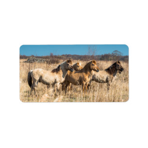 Wild Konik ponies Wicken Fen Cambridgeshire UK Label