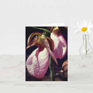 Wild Lady Slipper Orchids Flower Personalised Note Card
