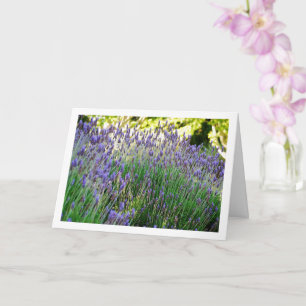Wild Lavender Portrait Card