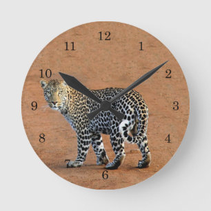Wild Leopard in Africa Round Clock