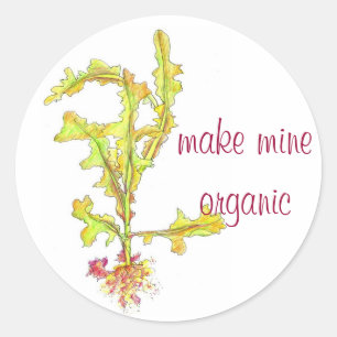 Wild Lettuce Leaves Drawing Organic Vegetables Classic Round Sticker